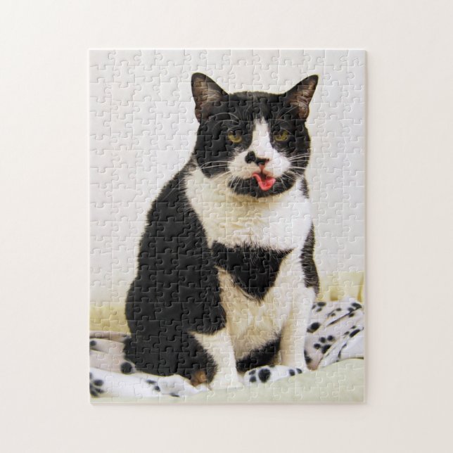 Eine Smokings-Katze haftet heraus ihre Zunge (Vertikal)
