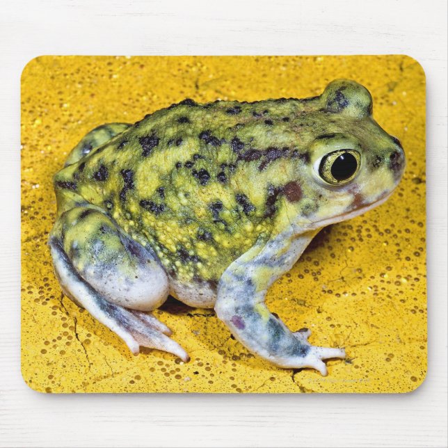 Eine Spadefußtote Mousepad (Vorne)