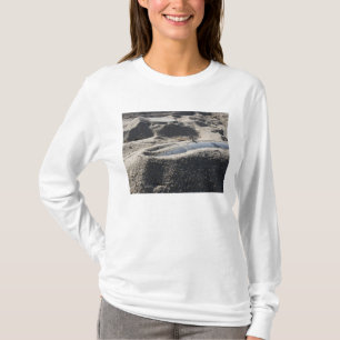 Eine statische Anzeige einer Artillerie-Muschel T-Shirt