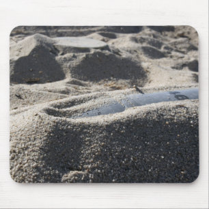 Eine statische Anzeige einer Muschel zur Kampfmitt Mousepad