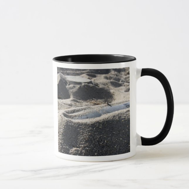 Eine statische Anzeige einer Muschel zur Kampfmitt Tasse (Rechts)