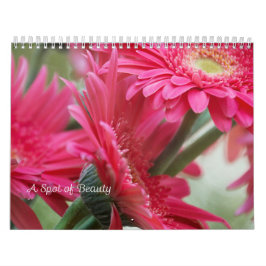 Eine Stelle des Schönheits-Kalenders Kalender