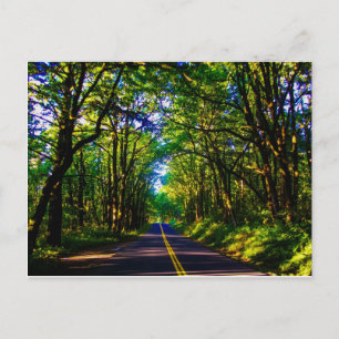 Eine Straße, die durch einen grünen Wald in Oregon Postkarte
