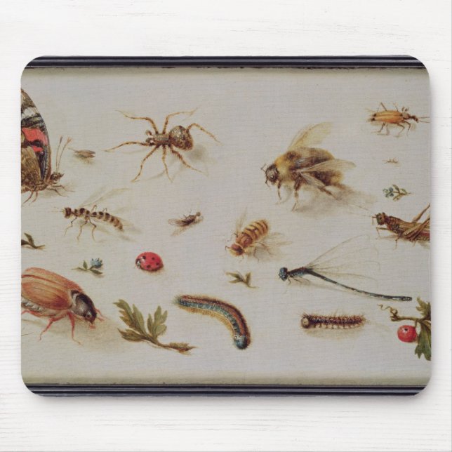Eine Studie der Insekten Mousepad (Vorne)