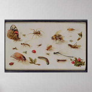 Eine Studie über Insekten Poster