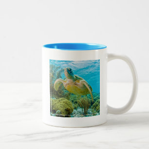 Eine Suppenschildkröte auf den flachen Riffen von Zweifarbige Tasse