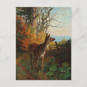 Eine süße Hirschkuh im Wald Postkarte