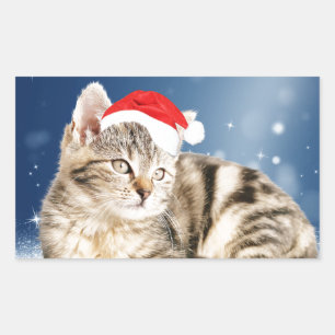 Eine süße Katze mit roter Santa-Mütze Weihnachten Rechteckiger Aufkleber