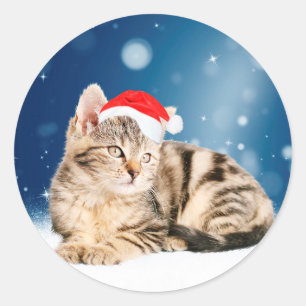 Eine süße Katze mit roter Santa-Mütze Weihnachtssc Runder Aufkleber