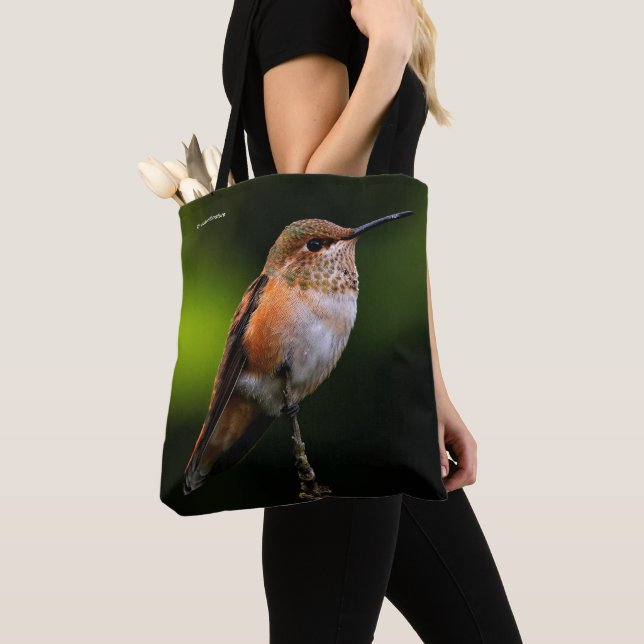 Eine süße Rufous-Hummingvogel-Pose auf dem Obstbau Tasche (Von Nahem)