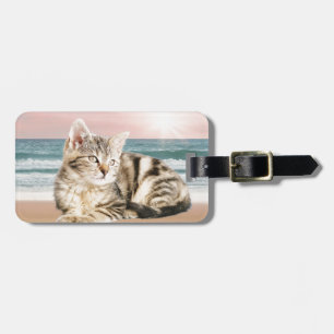 Eine süßere gestreifte Katze sitzt am Strand bei S Gepäckanhänger