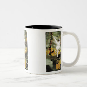 Eine Swing in der Tasse Garden