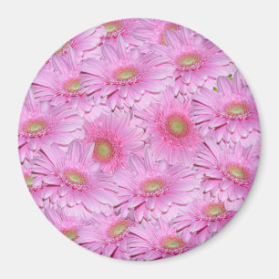 Eine Symphonie aus rosa Gerbera, Magnet