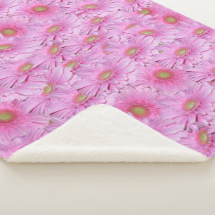 Eine Symphonie aus rosa Gerbera, Sherpadecke