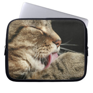 Eine Tabbierkatze leckt seine Pfote. Laptopschutzhülle