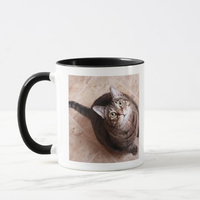 Eine Tabbykatze, die oben schaut Tasse (Links)