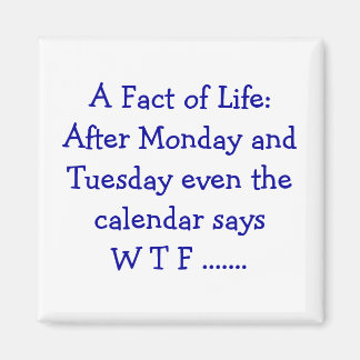 Eine Tatsache des Lebens - Magnet