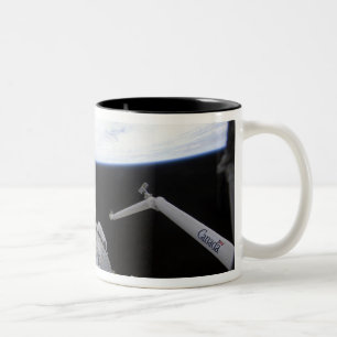 Eine teilweise Ansicht des Ruheknotens Zweifarbige Tasse