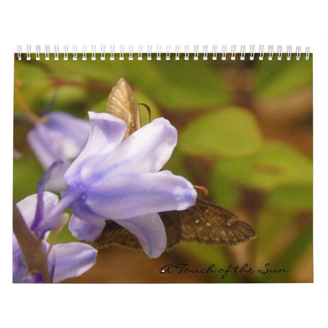 Eine Touch der Carolinas Kalender (Titelbild)