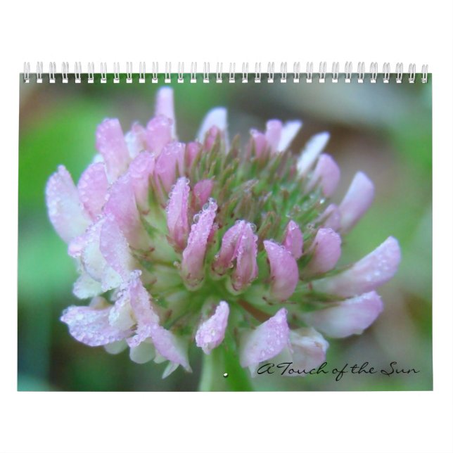 Eine Touch der Natur Kalender (Titelbild)