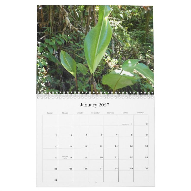 Eine Touch der Tropen Kalender (Jan 2027)