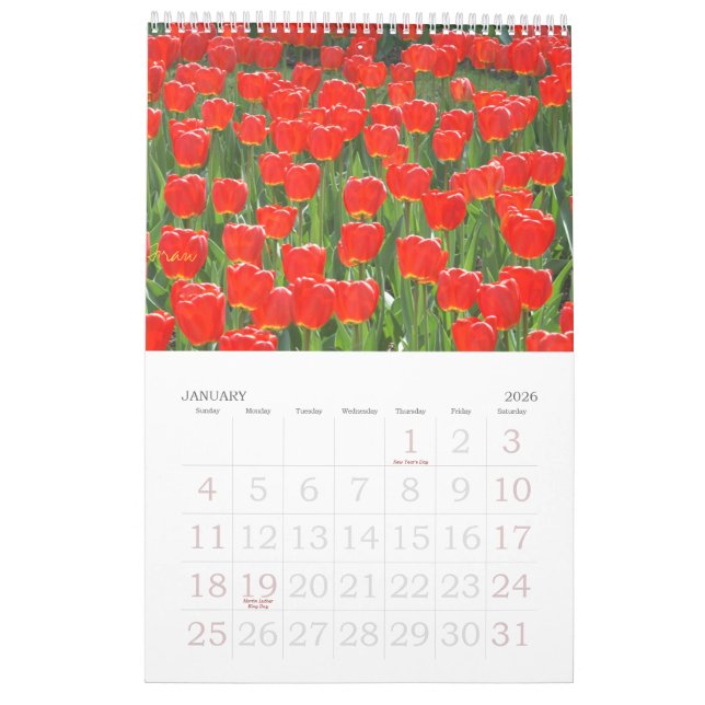 eine Touch des Rotes für 2013 Kalender (Jan 2026)