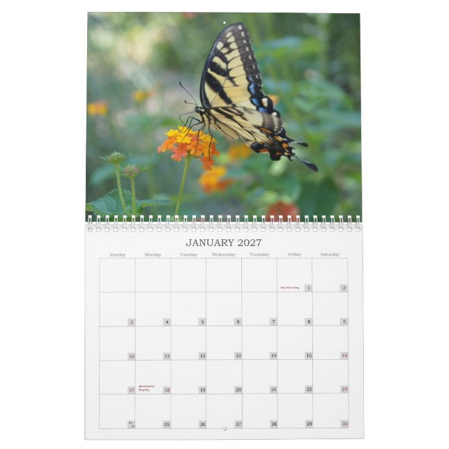 Eine Touch des Sun-Schmetterlinges Kalender (Jan 2027)