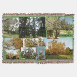 eine verrückte Mischung aus goldenen Tausend-Oaks- Decke