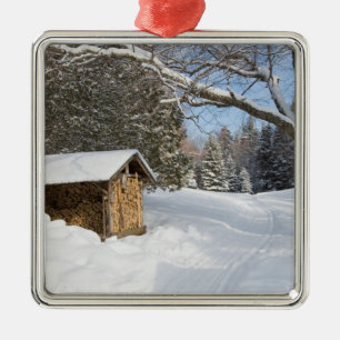 Eine verschneite Szene am Little Lyford Pond des A Ornament Aus Metall