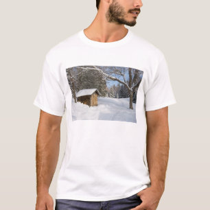 Eine verschneite Szene am Little Lyford Pond des A T-Shirt
