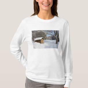 Eine verschneite Szene am Little Lyford Pond des A T-Shirt