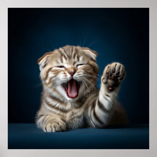 Eine Verteidigung des kalten Lebens Poster (Vorne)