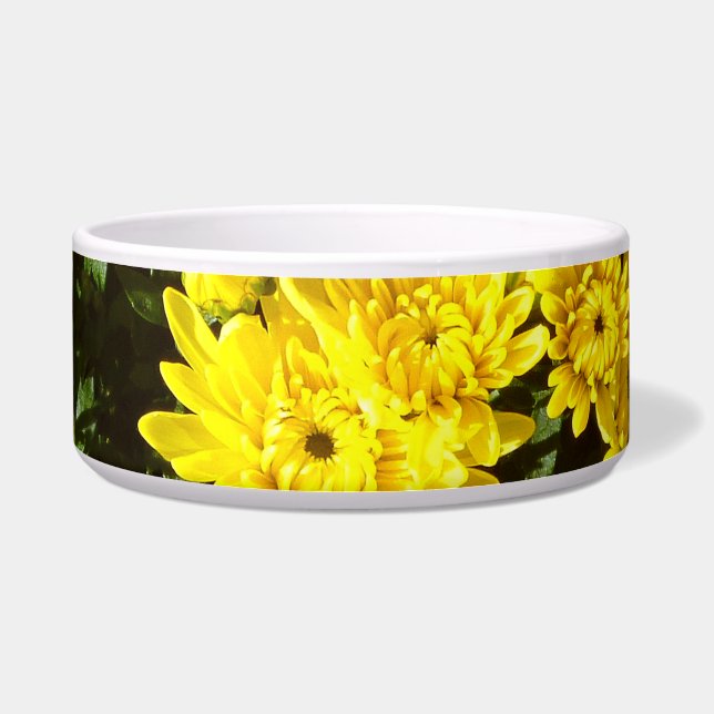 Eine Vielzahl gelber Mums Napf (Vorderseite)