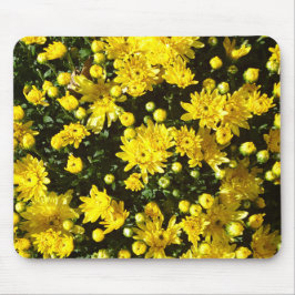 Eine Vielzahl von gelben Chrysanthemen Mousepad