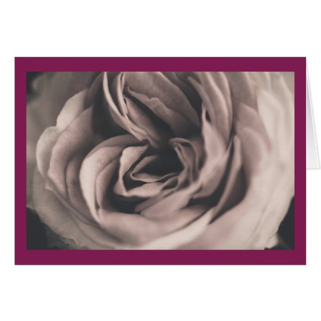 Eine Vintage Rose (Vorderseite (Horizontal))