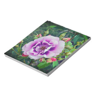 Eine violette Rose Notizblock