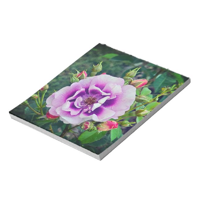 Eine violette Rose Notizblock (Rotiert)