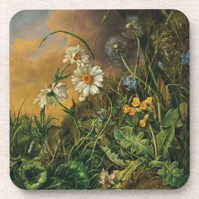 Eine Waldfläche mit Daisies, Primrosen, ... Getränkeuntersetzer (Vorderseite)
