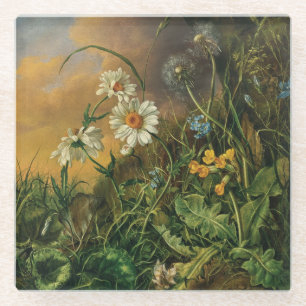 Eine Waldfläche mit Daisies, Primrosen, ... Glasuntersetzer