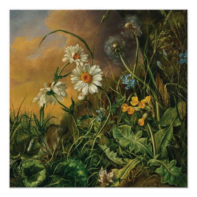 Eine Waldfläche mit Daisies, Primrosen, ... Poster (Vorderseite)