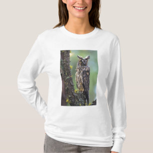 Eine Waldohreule auf einem Ast sitzend T-Shirt