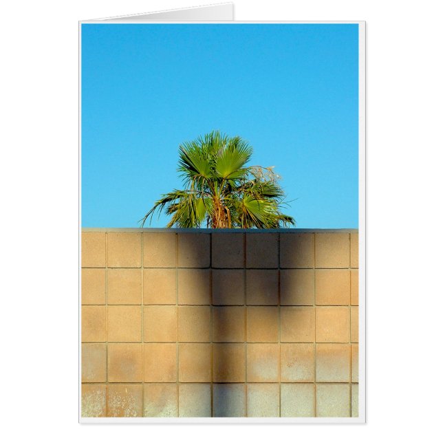 Eine Wand vor Wyman (Vorne)