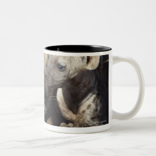Eine weibliche gepunktete Hyäne und ihr Junges, Zweifarbige Tasse