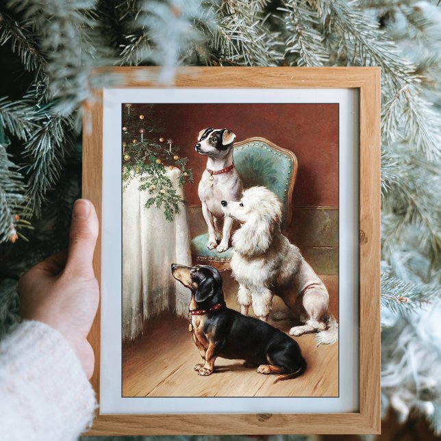 Eine Weihnachtshunde Leckerei Hunde Carl Reichert Poster (Von Creator hochgeladen)
