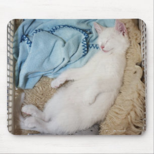 Eine weiße Katze, die in einem Wäschekorb schlä Mousepad