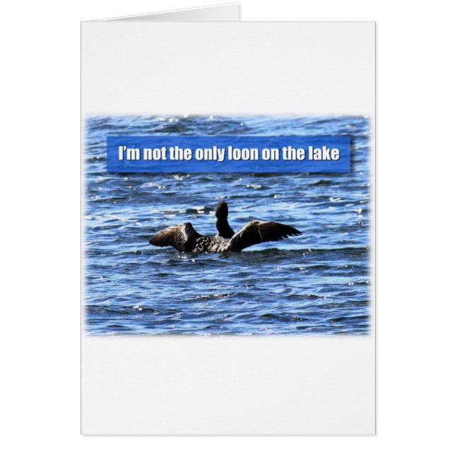 Eine weitere Loon am See (Vorne)