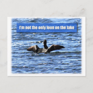 Eine weitere Loon am See Postkarte