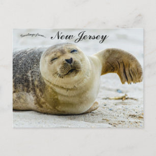 Eine Welle und ein Zwinkern von einem Seehund in N Postkarte