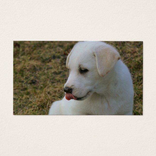 Eine Welpen-Zunge (Vorderseite)