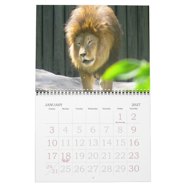 EINE WELT des TIER-Kalenders Kalender (Jan 2027)